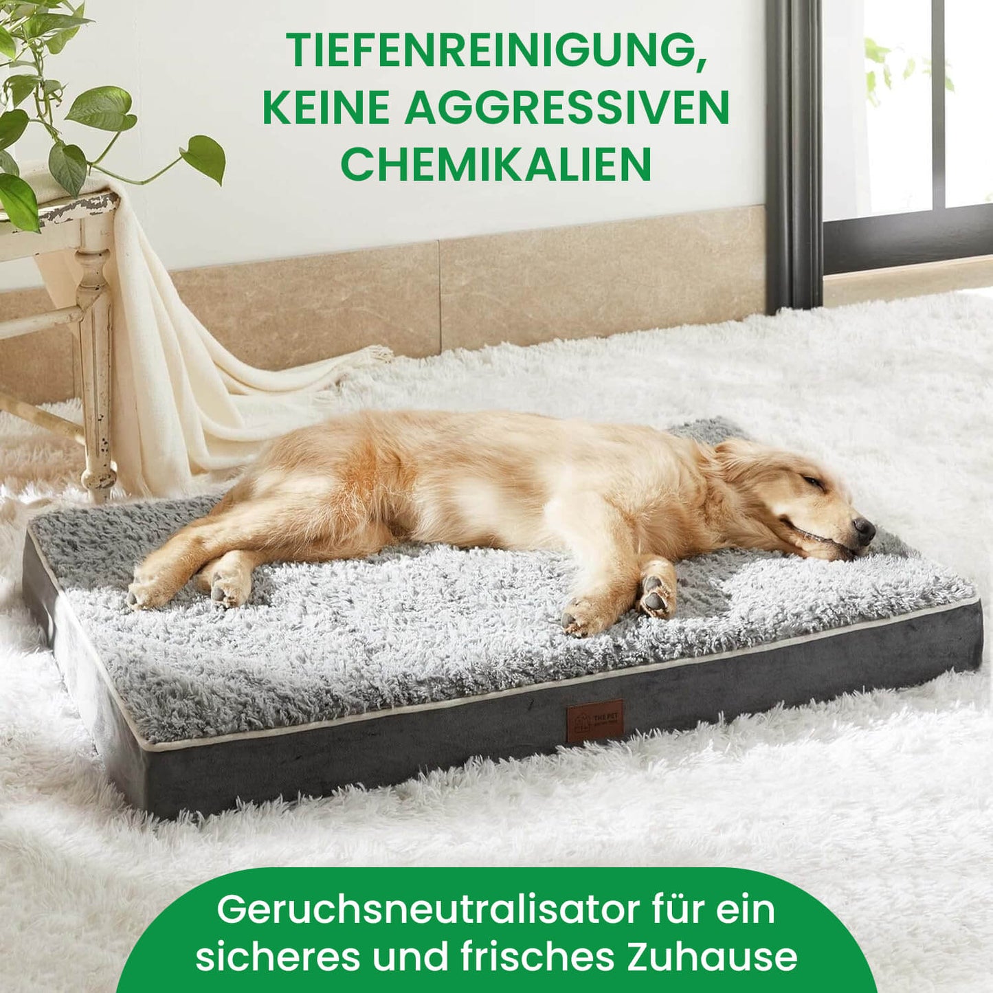 Enzymreiniger gegen Katzenurin und Hundeurin - natürlich, ohne Chemie