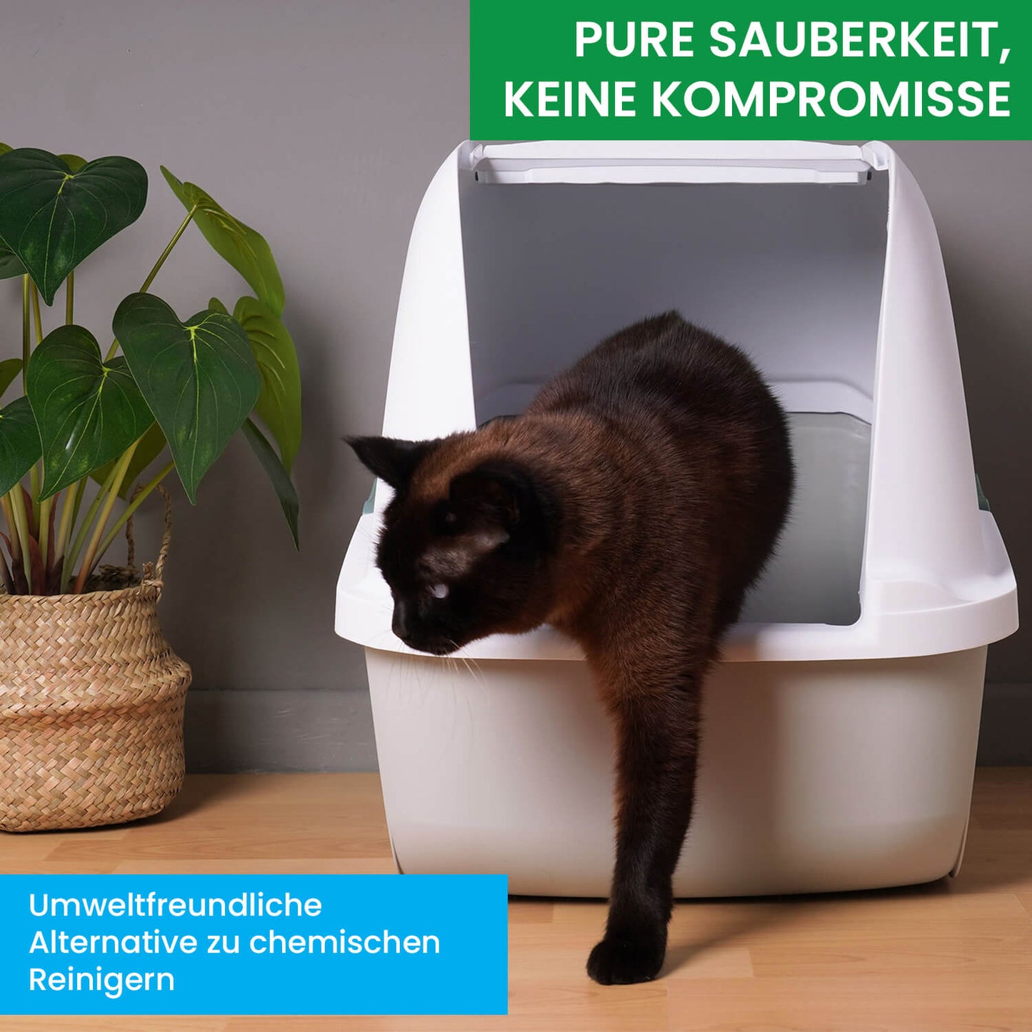 Enzymreiniger gegen Katzenurin und Hundeurin - natürlich, ohne Chemie